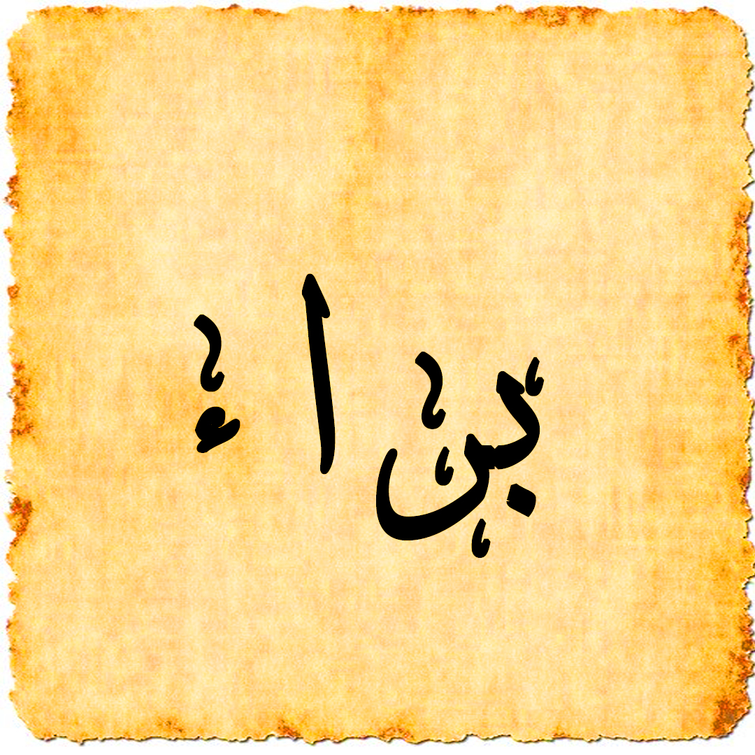 e3arabi - إي عربي – معنى اسم براء